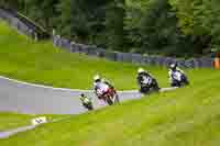 brands-hatch-photographs;brands-no-limits-trackday;cadwell-trackday-photographs;enduro-digital-images;event-digital-images;eventdigitalimages;no-limits-trackdays;peter-wileman-photography;racing-digital-images;trackday-digital-images;trackday-photos